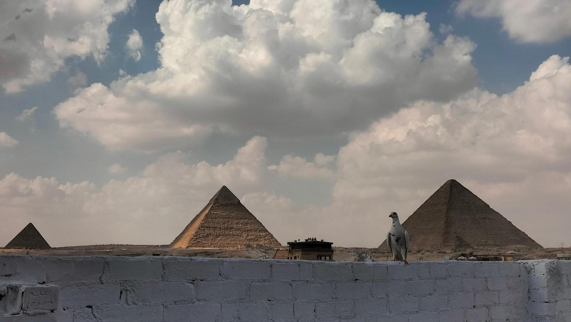Hamza Pyramids *