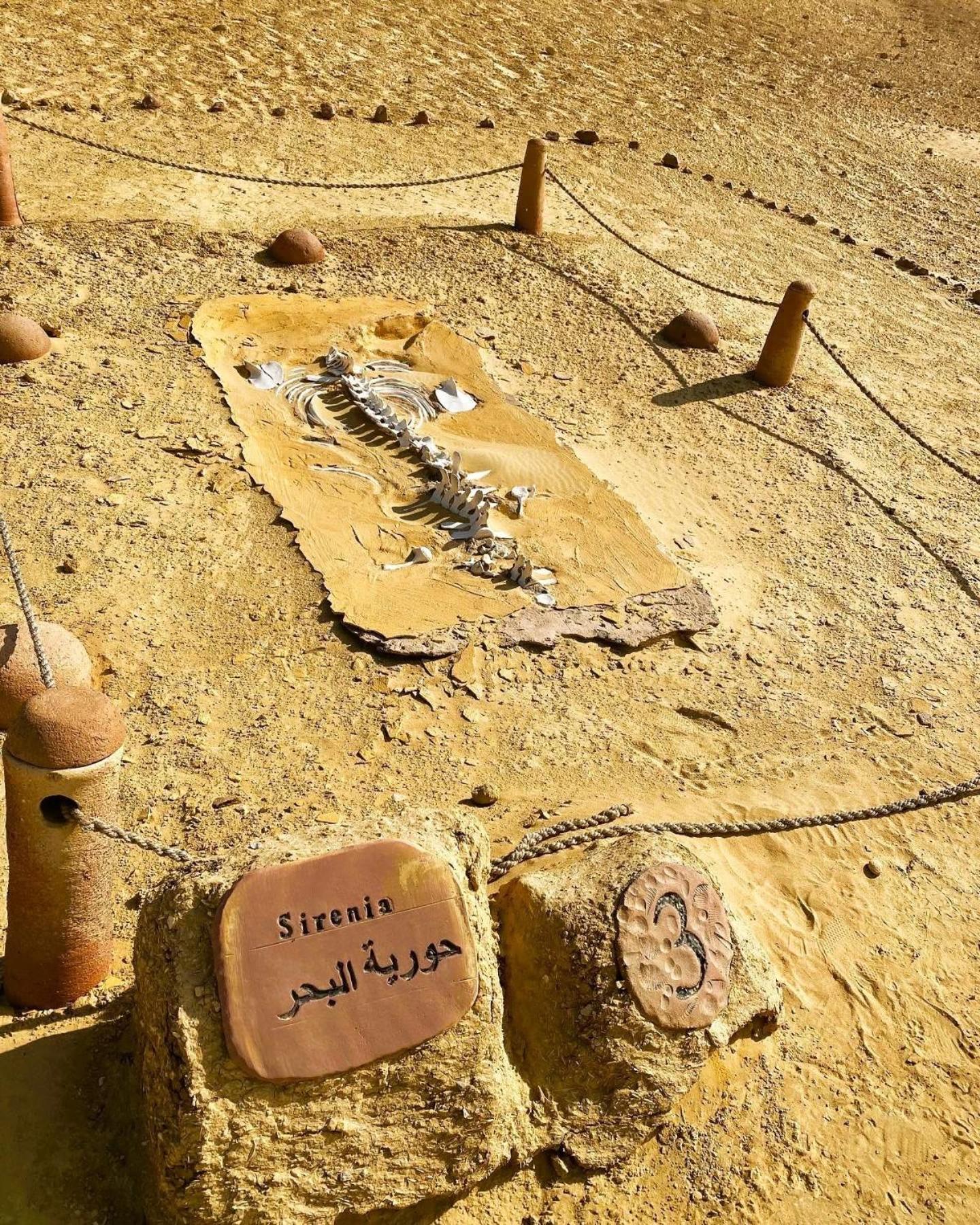 Hamza Pyramids Cairo